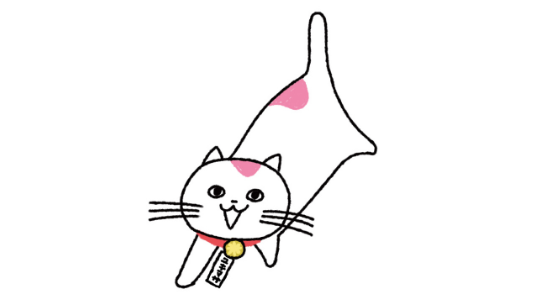 甲斐 聖二  プロフィール画像